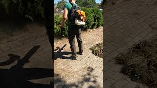 Целосното видео го имате на мојот јутуб канал. #garden #mowing #lawncare #skopje #satisfyingvideo