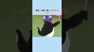 やった、あのド畜生燕が帰ってきた――。 #野球 #プロ野球