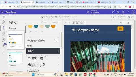 Demonstrate about all settings of Power Pages / Power portal