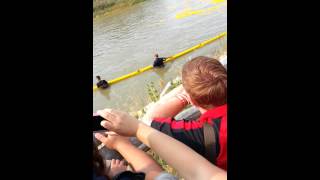 Rubber duck race in Scottsbluff Nebraska