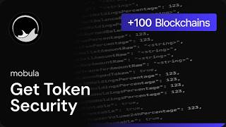 Get Token Security Data Across Ethereum, Solana, BNB, Base &amp; More | Mobula API