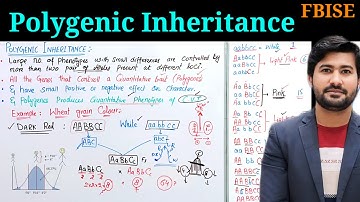 Polygenic inheritance and continuous varying traits FBISE class 12
