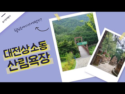 2021 07 20 대전동구 상소동 산림욕장 탐방여행중