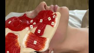 M. orbicularis oris massage \  Face massage by Vera Sobolevskaya \ IASTM by NordBlade