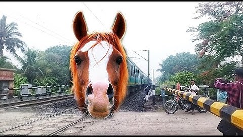 HORSE Headed Aerodynamic Sea Green EMU Local Train Furious & Dangerous Passing at Railgate