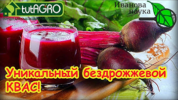 ПЬЕМ ИЗ БАНКИ ПЕНИСТЫЙ КВАС. ВКУСНЫЙ ДОМАШНИЙ КВАС ИЗ СВЁКЛЫ.