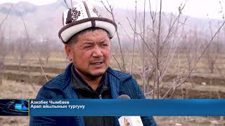 картинка: Мирмахмудов айыл өкмөтүнүн жазгы жумушу