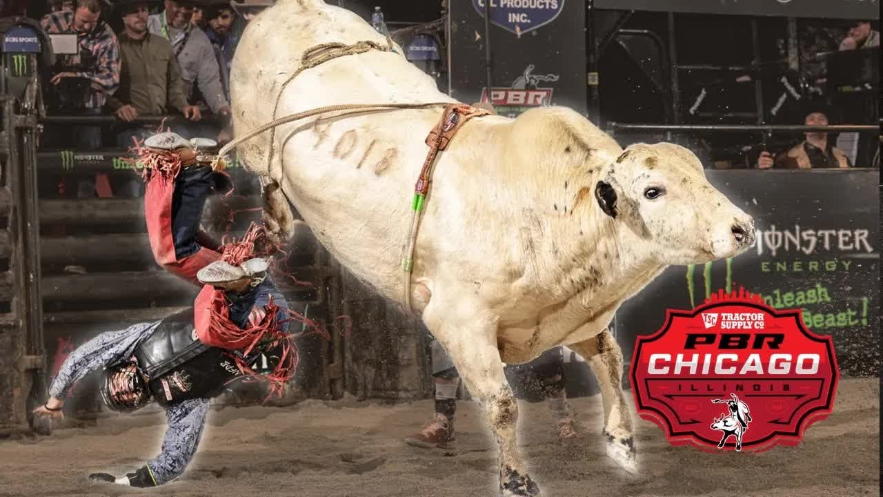 PBR Unleash the Beast Chicago 2024 Week 7 Recap YouTube