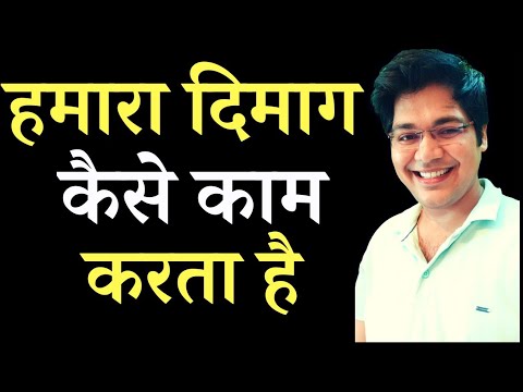 हमारा दिमाग कैसे काम करता है