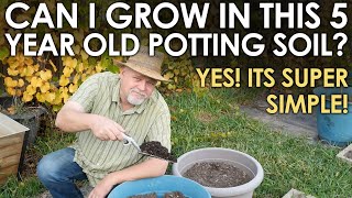 Can I Grow in 5 YEAR OLD Potting Soil? || Black Gumbo