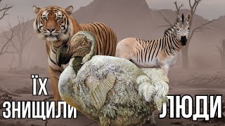 картинка: Тварини, знищені людьми ЧАСТИНА І