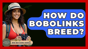 How Do Bobolinks Breed? - Bird Watching Diaries