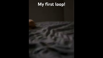 My first loop #foryou #viral #viralshorts #birdtrend #fypviral #loop #viralvideo #foryoupage #fypシ