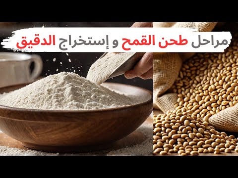 مراحل طحن القمح و إستخراج الدقيق