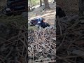 👋#scalerccrawler #shortvideo #rccar #rc #rccrawler #traxxas #trx4m #trx4mbronco #traxxastrx4m #4x4rc