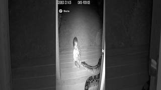 Baby Playing Then Suddenly Snake Appears 😱🐍 | Real CCTV Footage