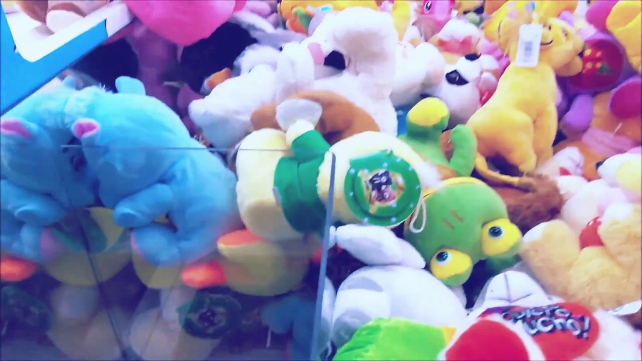 Canção Pra Você Viver Mais - Paula Cavalciuk