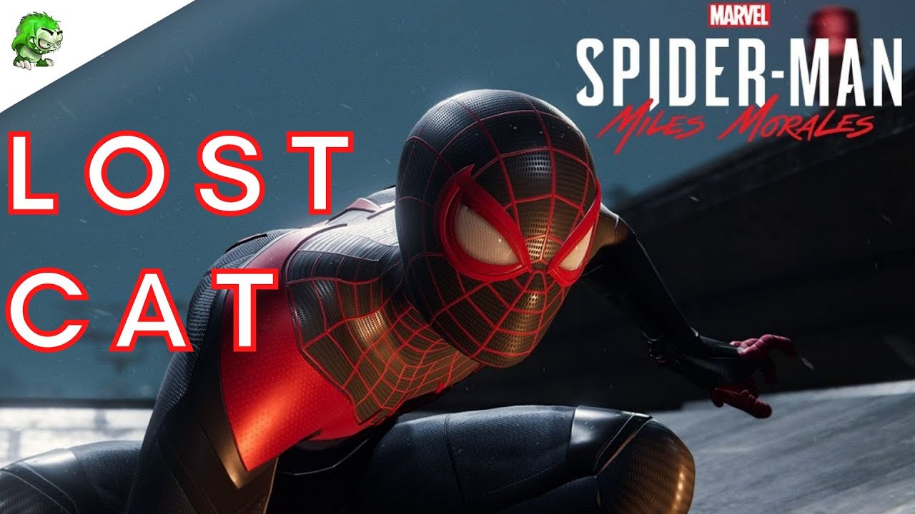 Spider-Man Miles Morales Lost Cat