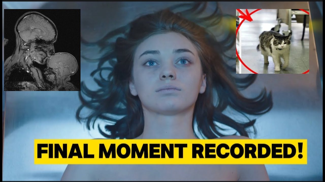 First-Ever Recording of a Dying Brain– Shocking Final Moments! 