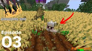 This Field grows Iron Golems on Kingdoms SMP