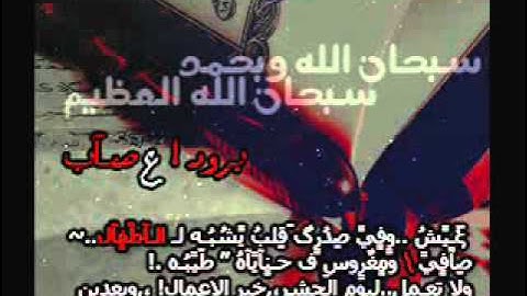 القارئ جمال شاكر عبدالله سورة العنكبوت