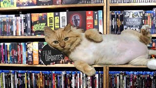 Update For My Movie Collection December 2025