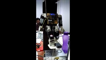 humanoid gait generation