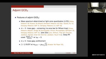 Silviu Pufu -  Adjoint QCD_2 on the Hamiltonian lattice and in the continuum 1-29-2025