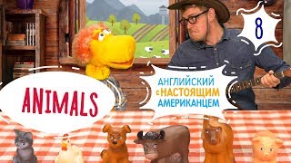 Запутанная песня про животных (Animals) - Английский для детей с Ковбоем и Таратутом - Серия 8 Запутанная песня про животных (Animals) - Английский для детей с Ковбоем и Таратутом - Серия 8