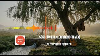 Söğüdün Erenleri - Bilecik Söğüt Zeybeği (Modern Epic Folk Cover)