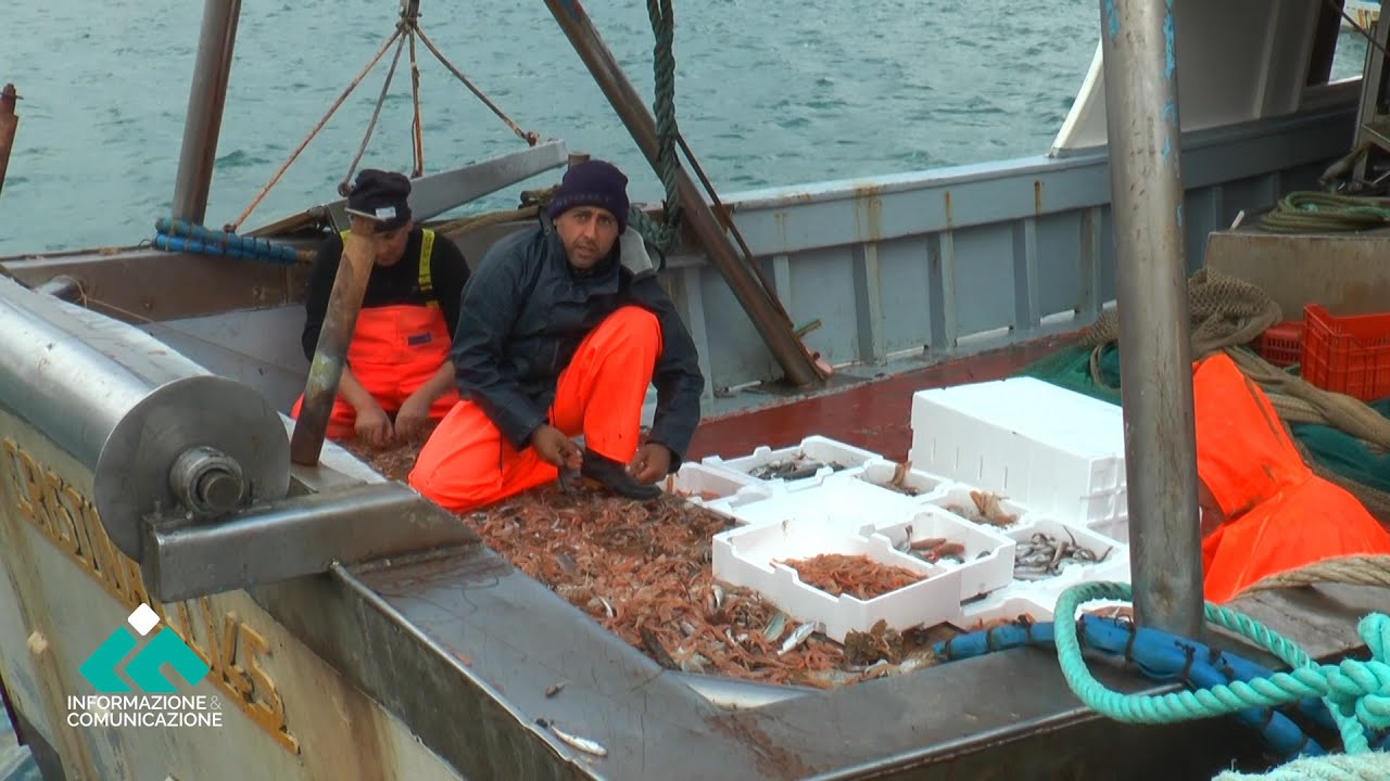 Caro gasolio. Pescherecci costretti a lavorare in perdita, si rischia il tracollo