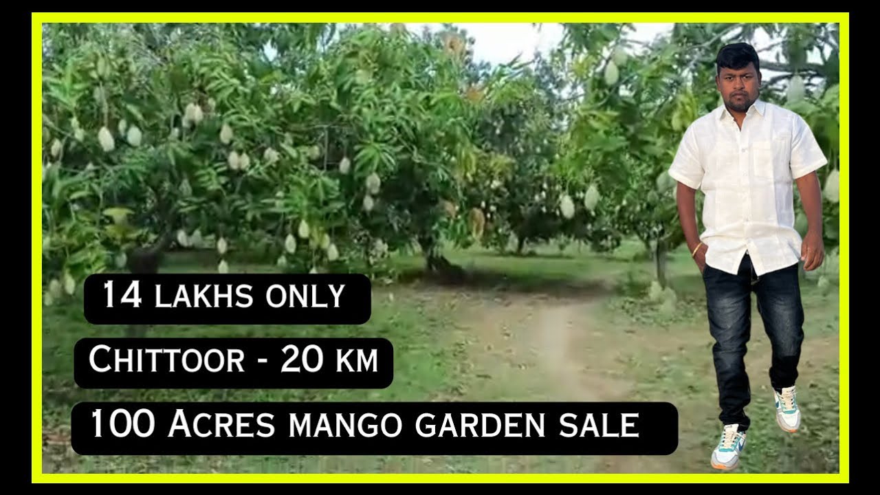 100 Acres mango garden sale Chittoor YouTube