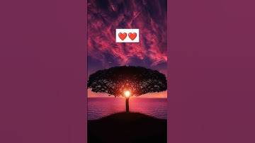 #القرآن_الكريم #سبحان_الله #سورة_البقرة #اية_الكرسي #سورةالفلق #سبحان