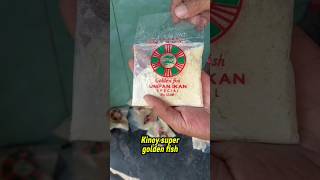 Kinoy Bait contains 20 pcs Kinoy Bait contains 20 pcs