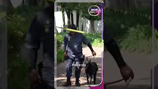 Son Of Zimbabwes Late President Mugabe19 Year Old Bellarmine Mugabe Charged With Attempted Murder