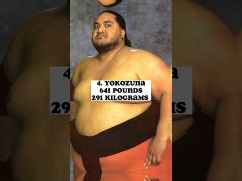 High 10 Heaviest Wrestlers Of All Time )#shorts #wwe #wweshorts #youtubeshorts #yokozuna