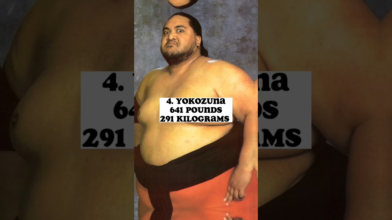 ⁣Top 10 Heaviest Wrestlers Of All Time )#shorts #wwe #wweshorts #youtubeshorts #yokozuna