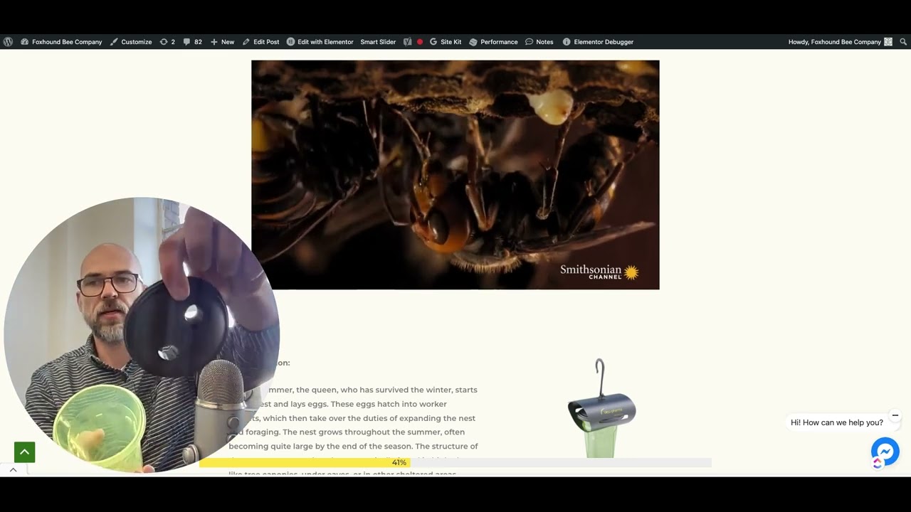 The Invasive Yellow-Legged Hornet: A Growing Concern