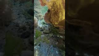 mystères marins