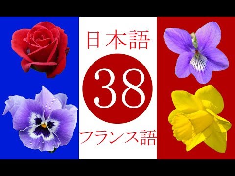 フランス語 花 Fleurs Youtube
