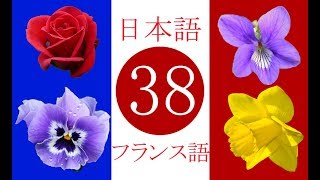 フランス語 花 Fleurs Youtube フランス語 花 Fleurs Youtube