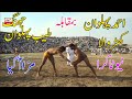 Ahmad pehlwan kharwala vs tayyab pehlwan jhang l mela kushti