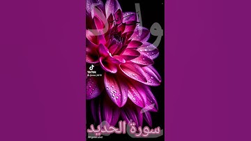 سورة الحديد #لايك #اكسبلور #quran #دويتو #تيك_توك #المصحف #duet #حالات_واتس #العظماء #راحة_نفسية