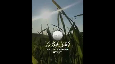 قرآن كريم بصوت القارئ رعد الكردي تلاوة هادئة تريح القلب 🍃🌿 / حالات واتس اب / ستوريات قرآن Quran