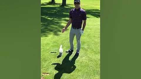 Course Care Tip - Peter Basso