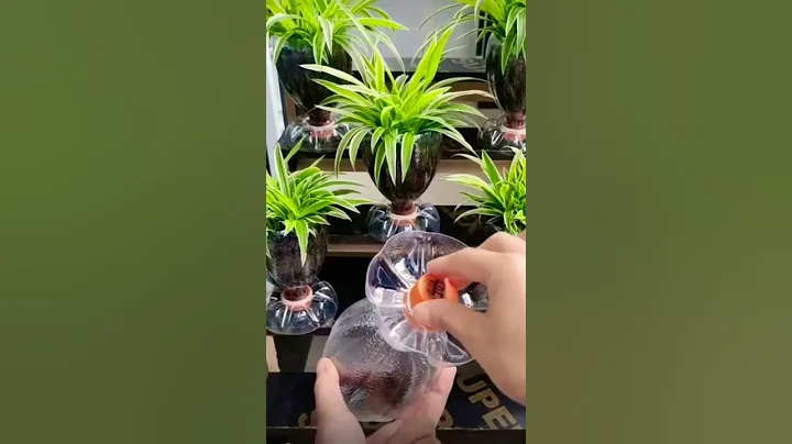 Don't Throw away these plastic bottles 😍