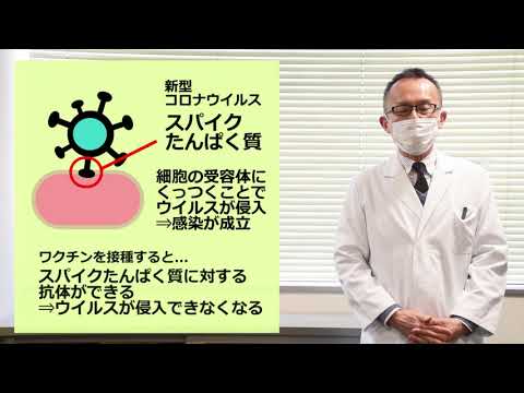 メッセンジャーRNA（mRNA）ワクチンとは？【保健所長が答えるコロナワクチンQ&A】