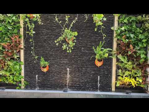 Video Beautiful landscape decoration wall. Tiểu cảnh tường... - youtube