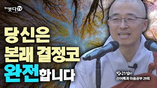 당신은 본래 결정코 완전합니다 | 법상스님의 행복한 마음공부 선어록과 마음공부 29회(15-1) 인생상담 행복명상 마음공부 이야기 말씀 불교 수행 깨달음