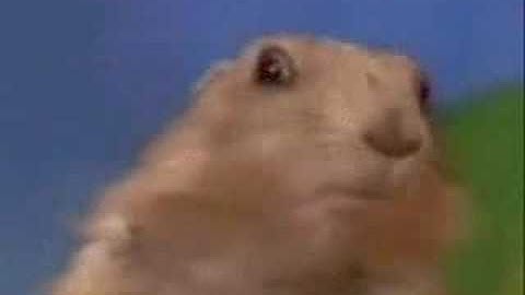 **Original** The Dramatic Chipmunk **Original**